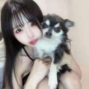 ヒメ日記 2025/11/01 14:05 投稿 とうふ【Kカップの絶対衝撃】 STELLA NEXT－ステラネクスト－