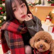 とうふ【Kカップの絶対衝撃】 馬鹿者です💧🥺🥲😢😔😣😫😭🥺💧😭😭😭😭 STELLA NEXT－ステラネクスト－