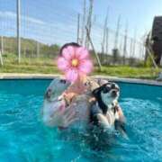 ヒメ日記 2026/03/26 19:23 投稿 とうふ【Kカップの絶対衝撃】 STELLA NEXT－ステラネクスト－