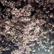 ヒメ日記 2026/05/27 21:38 投稿 内長かりな HYPER TOKYO