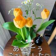 ヒメ日記 2025/06/14 22:34 投稿 風鳴ここね シロガネーゼ