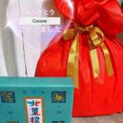 ヒメ日記 2025/08/31 11:57 投稿 風鳴ここね シロガネーゼ