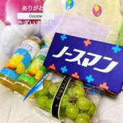 ヒメ日記 2025/09/23 19:34 投稿 風鳴ここね シロガネーゼ