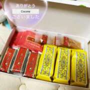 ヒメ日記 2025/09/30 14:36 投稿 風鳴ここね シロガネーゼ