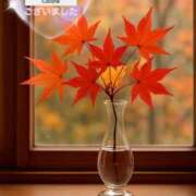 ヒメ日記 2025/10/01 16:00 投稿 風鳴ここね シロガネーゼ