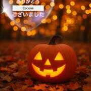 ヒメ日記 2025/10/24 17:21 投稿 風鳴ここね シロガネーゼ