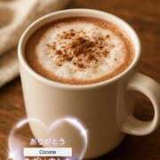 ヒメ日記 2025/10/30 16:18 投稿 風鳴ここね シロガネーゼ