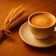 ヒメ日記 2025/11/01 20:20 投稿 風鳴ここね シロガネーゼ