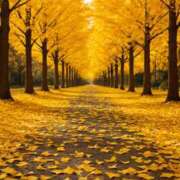 ヒメ日記 2025/11/13 20:49 投稿 風鳴ここね シロガネーゼ