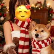 ヒメ日記 2025/12/12 10:40 投稿 美城れいか ミセス大阪十三店