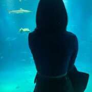 ヒメ日記 2026/03/23 18:38 投稿 美城れいか ミセス大阪十三店