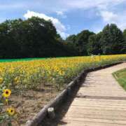 ヒメ日記 2025/07/29 19:14 投稿 めい【優等生】 舐めたくてグループ〜ペロンチョ学園〜八王子校