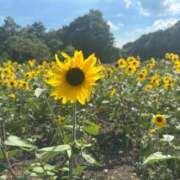 ヒメ日記 2025/08/12 12:09 投稿 めい【優等生】 舐めたくてグループ〜ペロンチョ学園〜八王子校