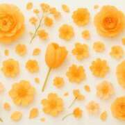 ヒメ日記 2025/10/11 19:59 投稿 渋谷　さち オトナ女子倶楽部