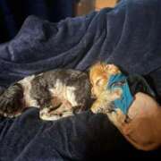 ヒメ日記 2025/06/13 13:54 投稿 くいな 熟女の風俗最終章 沼津店