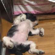 ヒメ日記 2025/08/07 18:38 投稿 くいな 熟女の風俗最終章 沼津店