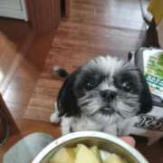 ヒメ日記 2025/08/13 01:18 投稿 くいな 熟女の風俗最終章 沼津店