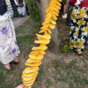 ヒメ日記 2025/08/16 22:28 投稿 くいな 熟女の風俗最終章 沼津店