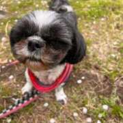 ヒメ日記 2025/08/17 13:15 投稿 くいな 熟女の風俗最終章 沼津店