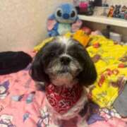 ヒメ日記 2025/10/07 19:08 投稿 くいな 熟女の風俗最終章 沼津店