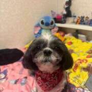 ヒメ日記 2025/10/14 15:28 投稿 くいな 熟女の風俗最終章 沼津店