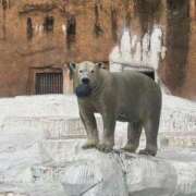 ヒメ日記 2025/10/27 12:11 投稿 くいな 熟女の風俗最終章 沼津店