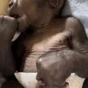 ヒメ日記 2025/10/29 15:38 投稿 くいな 熟女の風俗最終章 沼津店