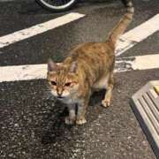 くいな 待機になりました✨ 熟女の風俗最終章 沼津店