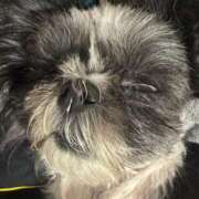 ヒメ日記 2025/12/30 01:28 投稿 くいな 熟女の風俗最終章 沼津店