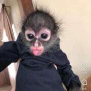 ヒメ日記 2026/01/08 17:48 投稿 くいな 熟女の風俗最終章 沼津店