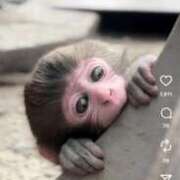 ヒメ日記 2026/01/12 12:28 投稿 くいな 熟女の風俗最終章 沼津店