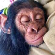 ヒメ日記 2026/01/13 01:48 投稿 くいな 熟女の風俗最終章 沼津店