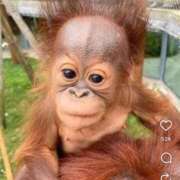 ヒメ日記 2026/01/14 19:04 投稿 くいな 熟女の風俗最終章 沼津店