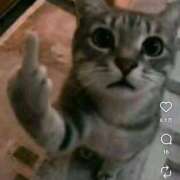 くいな あのねー 熟女の風俗最終章 沼津店