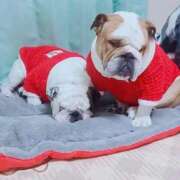 ヒメ日記 2026/03/18 19:58 投稿 くいな 熟女の風俗最終章 沼津店