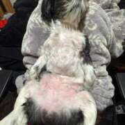 ヒメ日記 2026/03/26 22:28 投稿 くいな 熟女の風俗最終章 沼津店