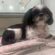 ヒメ日記 2026/04/10 18:18 投稿 くいな 熟女の風俗最終章 沼津店