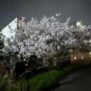 くいな 戻って参りました✋ 熟女の風俗最終章 沼津店