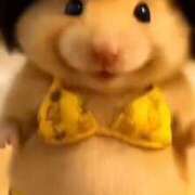 ヒメ日記 2025/08/14 11:59 投稿 あやね マリン土浦本店