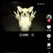 ヒメ日記 2025/08/17 12:03 投稿 あやね マリン土浦本店