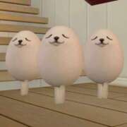 ヒメ日記 2025/09/24 21:27 投稿 あやね マリン土浦本店