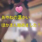ヒメ日記 2025/10/17 09:43 投稿 あやね マリン土浦本店