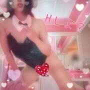 ヒメ日記 2025/10/22 08:01 投稿 あやね マリン土浦本店