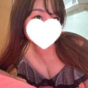 ヒメ日記 2025/09/12 15:05 投稿 せれん【あなた専属の癒し係♪】 LIPS(リップス)