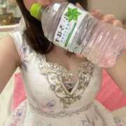 ヒメ日記 2025/09/25 19:49 投稿 せれん【あなた専属の癒し係♪】 LIPS(リップス)