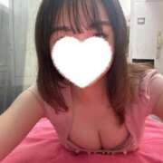 ヒメ日記 2025/10/12 00:08 投稿 せれん【あなた専属の癒し係♪】 LIPS(リップス)