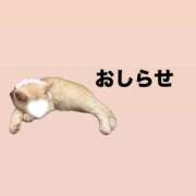 ヒメ日記 2026/10/18 05:55 投稿 にあ バイオレンス