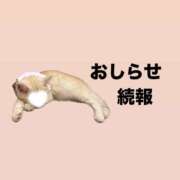 ヒメ日記 2026/10/20 00:25 投稿 にあ バイオレンス
