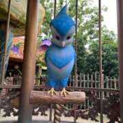 ヒメ日記 2025/06/10 16:23 投稿 まこと あとりえ(ATELIER)