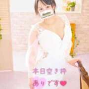 ヒメ日記 2025/07/03 08:01 投稿 まこと あとりえ(ATELIER)